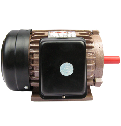 ĐỘNG CƠ ĐIỆN TIẾN ĐẠT 2HP ( KN-2 Nhanh Tua-2800V/P)